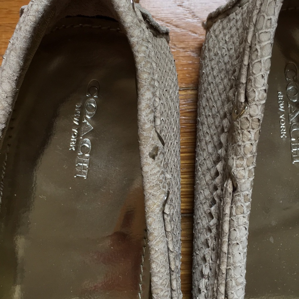 Coach flats - Picture 2 of 3